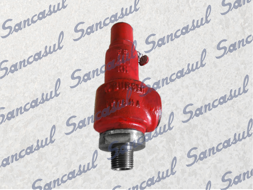 SAFETY VALVE EXTERNAL MOUNTING 9KG (213)