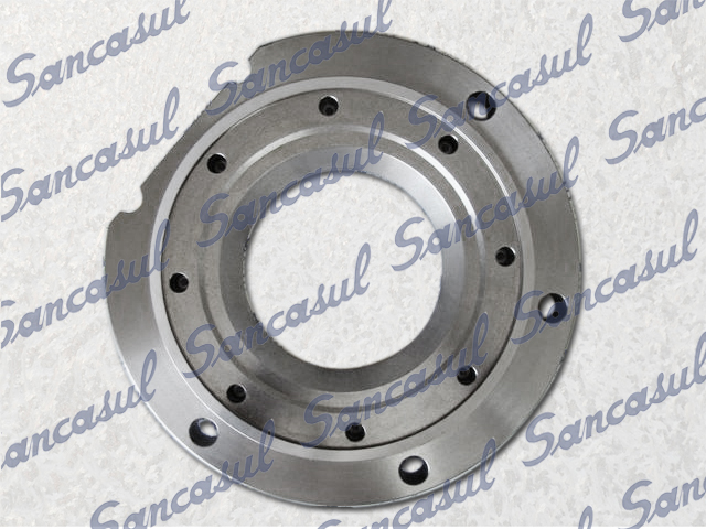 SUCTION VALVE PLATE B R22 - (73-1)