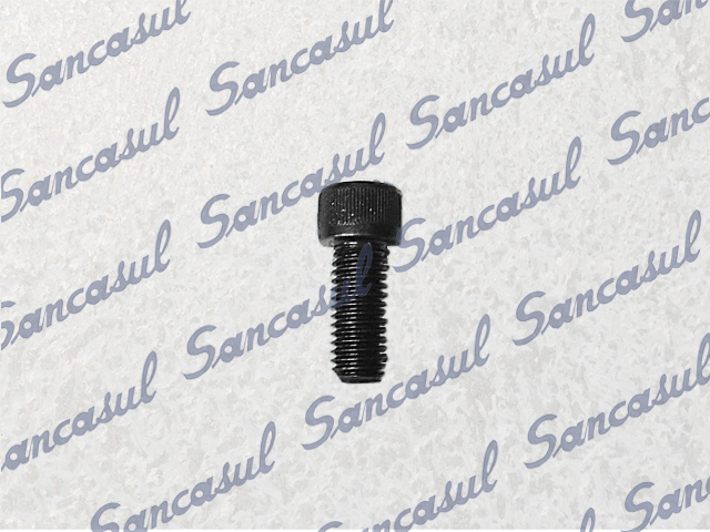  SUCTION/PRESSURE SET SCREW - 16X11