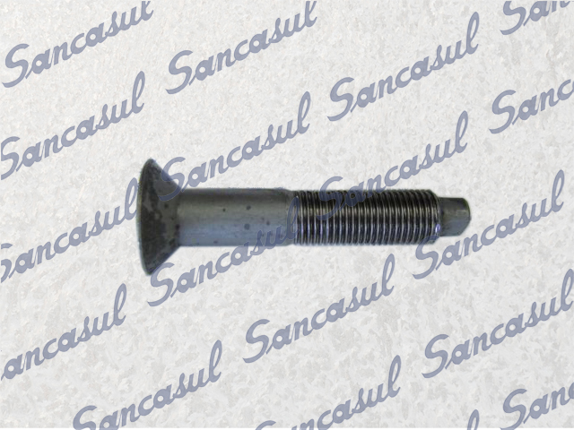 TORNILLO VÁLVULA ESPECIAL - 100
