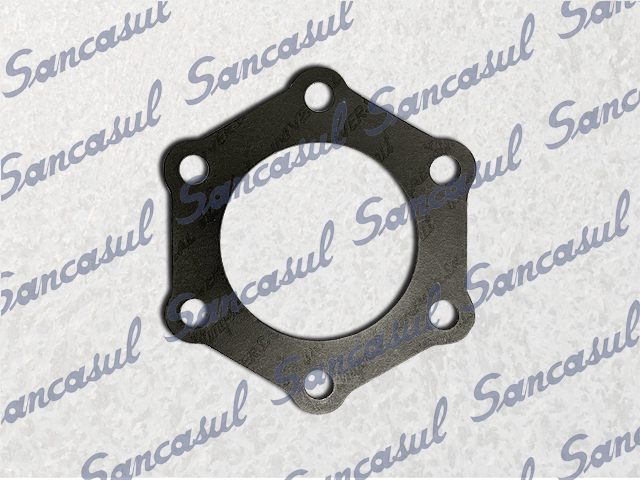 GASKET FLAT 5&quot; STOP VALVE - 100