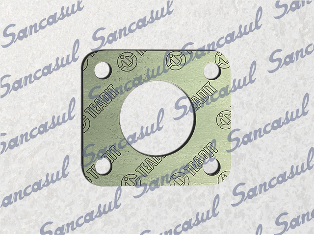 MAIN VALVE GASKET - 2.1/2 - 100 MK2/3/4