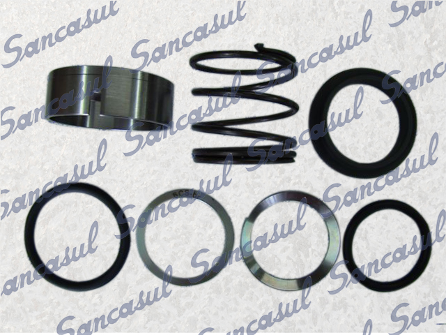 SHAFT SEAL T/SMC 100