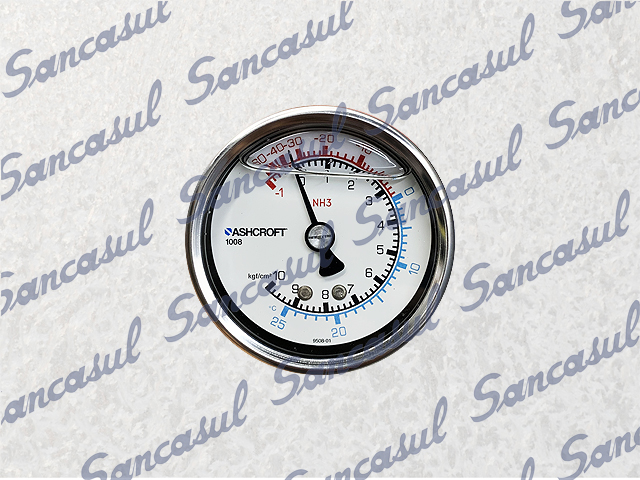 2,5&quot; - 1/10 PRESSURE GAUGE - NH3