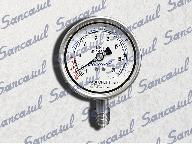 IN-LINE PRESSURE GAUGE 4&quot; - 1-21 BAR